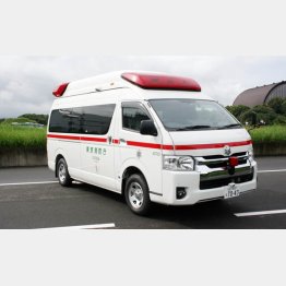 「ラッサ車」と同種の一般救急車（提供／東京消防庁）