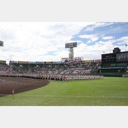 2019年夏の甲子園の開会式（Ｃ）日刊ゲンダイ