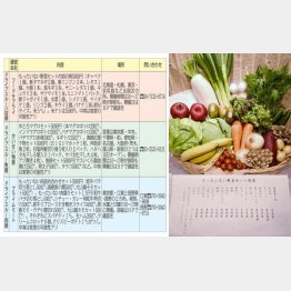 野菜がテンコ盛り（提供写真）