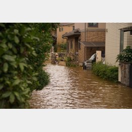 浸水の可能性が…