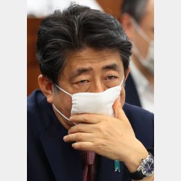 安倍長期政権では次から次への問題が露呈（Ｃ）日刊ゲンダイ