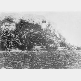 サイパン島のマッピ山。この山に洞穴があった（1944年ごろ）／（Ｃ）共同通信社