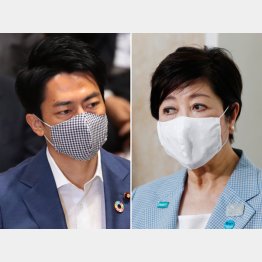 小池百合子都知事と小泉進次郎環境相（Ｃ）日刊ゲンダイ