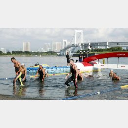 選手は命がけだ（2019年東京五輪水泳オープンウォータースイミングのテスト大会）／（Ｃ）共同通信社