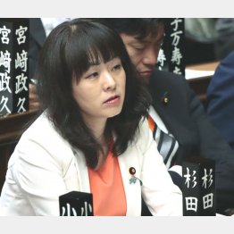 杉田水脈衆院議員（Ｃ）日刊ゲンダイ