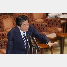 森友学園に関する文書改ざん問題について答弁を行う安倍首相（Ｃ）日刊ゲンダイ