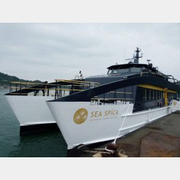 観光型高速クルーザー「SEA SPICA」（Ｃ）日刊ゲンダイ