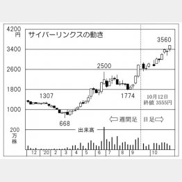 「サイバーリンクス」の株価チャート（Ｃ）日刊ゲンダイ