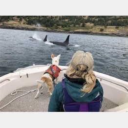 シャチを見つけたデボラさんと愛犬エバ（デボラさんが作成したエバのインスタグラムから）