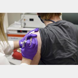 米メリーランド大で実施された、米ファイザーの新型コロナウイルスワクチンの臨床試験（米メリーランド 大医学部提供・ＡＰ＝共同）