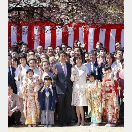 2019年の桜を見る会（Ｃ）日刊ゲンダイ