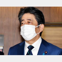 果たして安倍前首相の刑事責任はどこまで追求できるか（Ｃ）日刊ゲンダイ