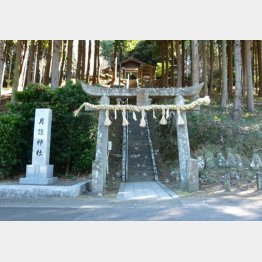 月讀神社（Ｃ）日刊ゲンダイ