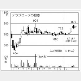 「テラプローブ」の株価チャート（Ｃ）日刊ゲンダイ