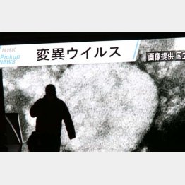 変異種の感染力は70％増！（静岡の変異種確認を伝える東京・秋葉原の大型ビジョン）／（Ｃ）日刊ゲンダイ