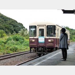 天浜線の「マリメッコ」車両（Ｃ）日刊ゲンダイ