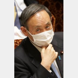 菅首相の”天領”総務省の違法接待問題は底なし（Ｃ）日刊ゲンダイ