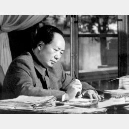 写真①執務中の毛沢東中国共産党中央委員会主席（1966年）（Ｃ）共同通信社