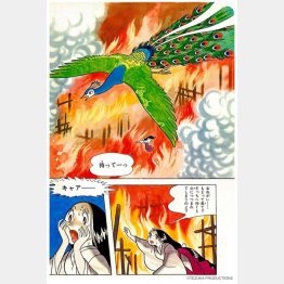 「火の鳥《オリジナル版》乱世編」から