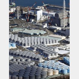 東京電力福島第１原発の敷地内に並ぶ処理水を保管するタンク（Ｃ）共同通信社