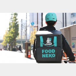 韓国のFOODNEKO（フードネコ）のネコライダー（Ｃ）日刊ゲンダイ