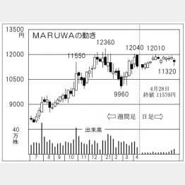 「MARUWA」の株価チャート（Ｃ）日刊ゲンダイ