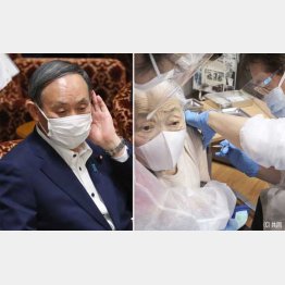 現実離れした目標を目指す”ヤギさん論法”菅首相(C)日刊ゲンダイ