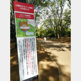 工事のため立ち入り制限（代々木公園）／（Ｃ）日刊ゲンダイ