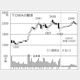 TOWAの株価チャート（Ｃ）日刊ゲンダイ