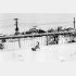 雪のバルコニーで跳ねるチロ（『センチメンタルな旅・冬の旅』より＝1990年撮影）／（提供写真）
