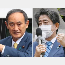 鉄槌が当然の立場なのに…(菅首相と安倍前首相=右)/(C)日刊ゲンダイ