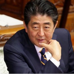 安倍前首相が糸を引いている？（Ｃ）日刊ゲンダイ