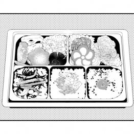 作・嵐塚麻晴