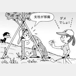 イラスト・小山混