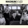 「ＭＡＧＮＵＭ　ＤＯＧ　マグナムが撮った犬」マグナム・フォト著、藤井留美訳