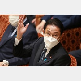 また醜態（衆院予算委で答弁のため挙手する岸田首相、昨13日）／（Ｃ）日刊ゲンダイ