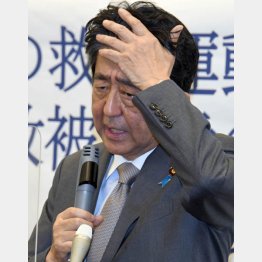 安倍元首相が一般人のツイート「岸田の動きが悪い」に「いいね！」／（Ｃ）日刊ゲンダイ