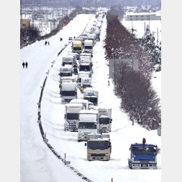 最大1600台が立往生した（今年2021年1月の北陸自動車道）／（Ｃ）共同通信社