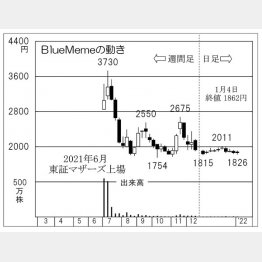 BlueMemeの株価チャート（Ｃ）日刊ゲンダイ