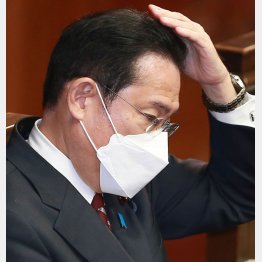 泥縄式のコロナ対策、追い打ちかける物価高、やる気あるのか（岸田首相）／（Ｃ）日刊ゲンダイ