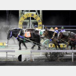 ばんえい競馬（Ｃ）日刊ゲンダイ