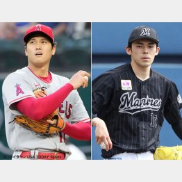 大谷翔平と佐々木朗希（Ｃ）日刊ゲンダイ