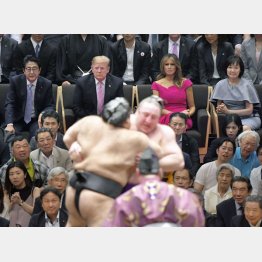 興味はなさそうだったが…（大相撲を観戦するトランプ前大統領夫妻と安倍元首相夫妻＝代表撮影）