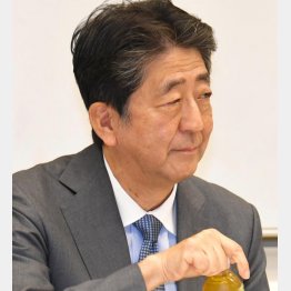 安倍元首相（Ｃ）日刊ゲンダイ