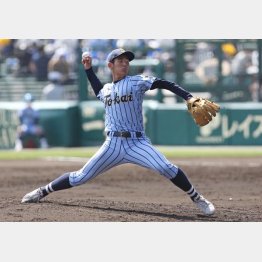 昨春のセンバツ決勝で登板した東海大相模の求（Ｃ）日刊ゲンダイ