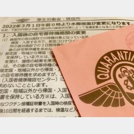 成田空港検疫で渡された説明書類（撮影）出井康博