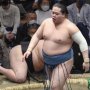 錦富士隆聖 左ヒジ筋断裂から復活！「ケガの功名」で広げた相撲の幅