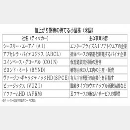 値上がり期待の持てる小型株（米国）／（Ｃ）日刊ゲンダイ