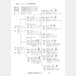 一軒の不動産でここまで細分化した事例も（Ｃ）日刊ゲンダイ