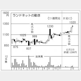 ランドネットの株価チャート（Ｃ）日刊ゲンダイ